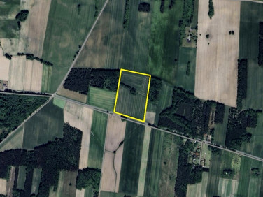 Działka rolna Dalików