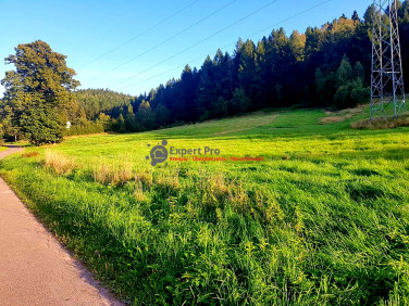 Działka rolna Grzędy