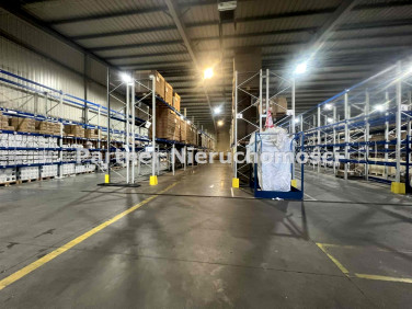 Budynek użytkowy Toruń