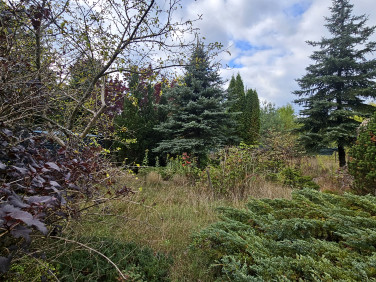 Działka Bolesławów