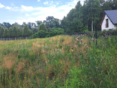 Działka Wiązowna Kościelna