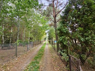 Zalesiona działka Bolesławów