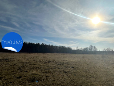 Działka budowlana Ostrowik