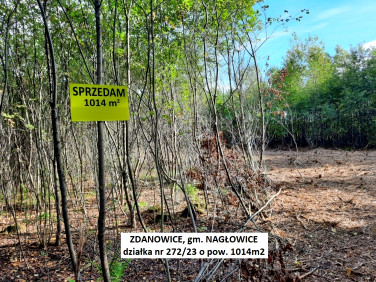 Działka rekreacyjna Zdanowice