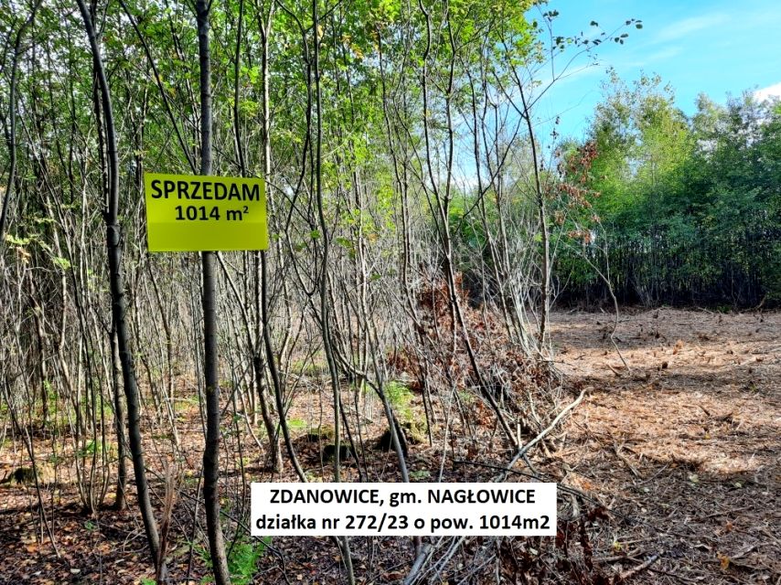 Działka rekreacyjna Zdanowice