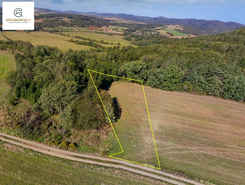Działka przy lesie