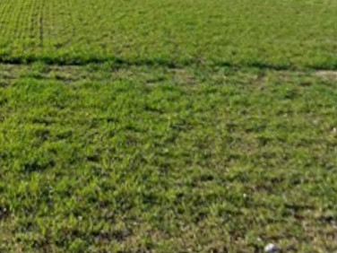 Działka budowlana Grodzisk Mazowiecki