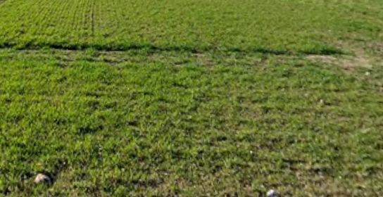 Działka budowlana Grodzisk Mazowiecki