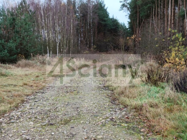 Działka rekreacyjna Wycześniak
