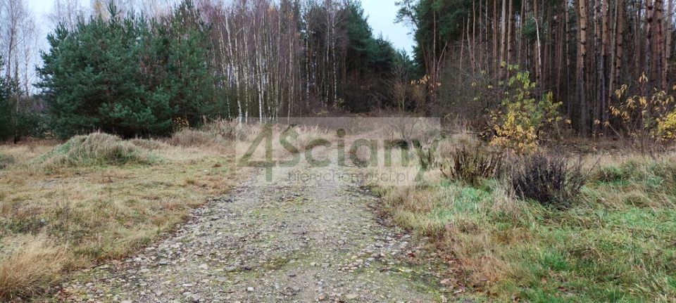 Działka rekreacyjna Wycześniak