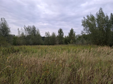 Działka budowlana Warszawa