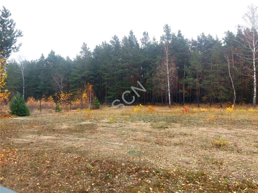 Działka leśna Malcanów