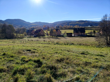 Działka budowlana Sosnówka