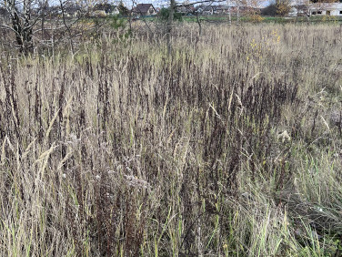 Działka budowlana Falenty Nowe