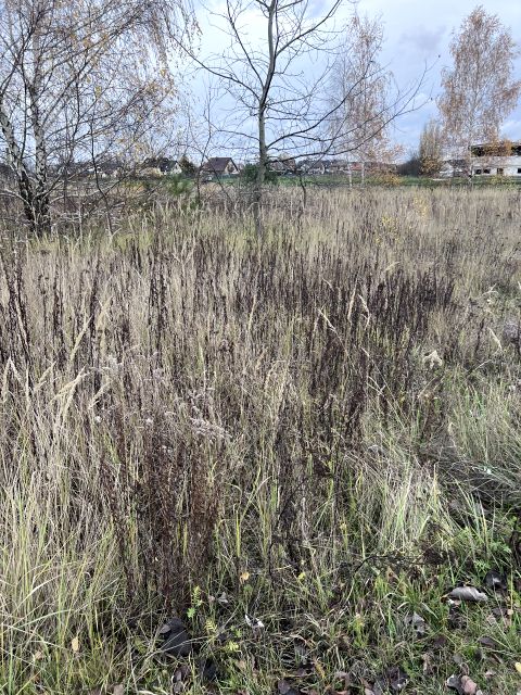 Działka budowlana Falenty Nowe