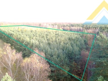 Działka leśna Chłopowo