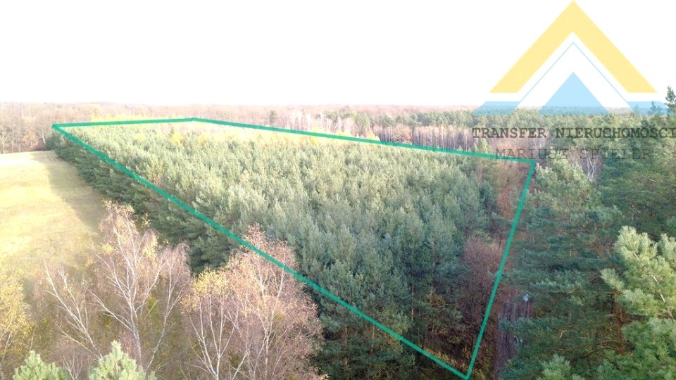 Działka leśna Chłopowo