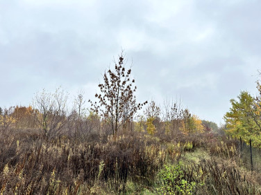 Działka rolna Sochaczew