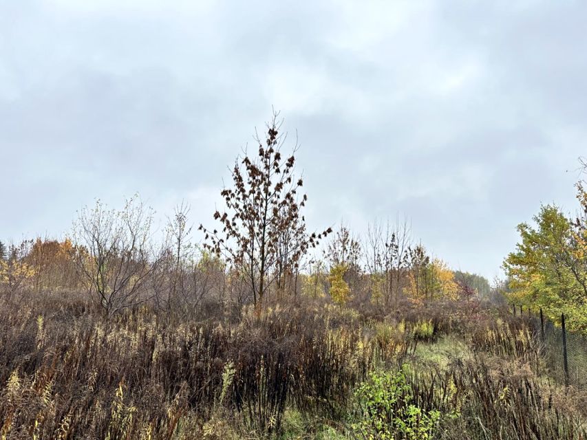 Działka rolna Sochaczew