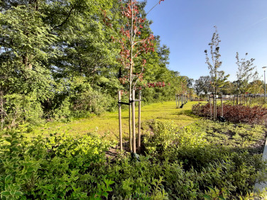 Mieszkanie Miękinia