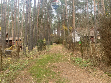 Działka leśna sprzedam