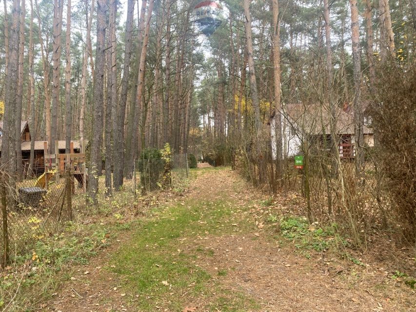 Działka leśna sprzedam