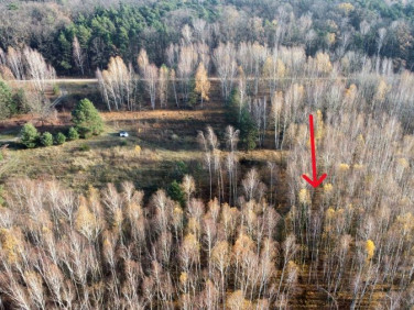 Działka budowlana Drwalew