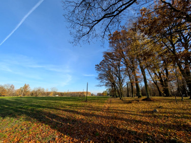 Działka inna Małe Rudy