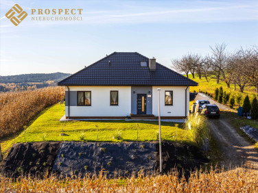 Dom Piotrkowiczki sprzedaż