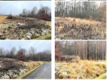 Działka budowlana Olszowice