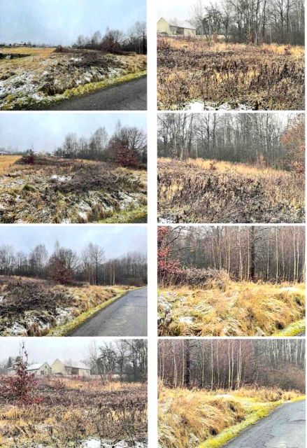 Działka budowlana Olszowice