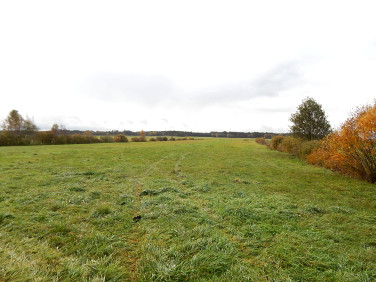 Działka rolno-leśna Kosobudy