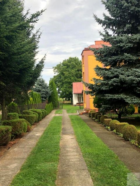 Zdjęcie 3
