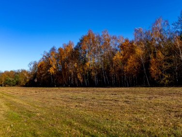 Działka Stare Krasnodęby