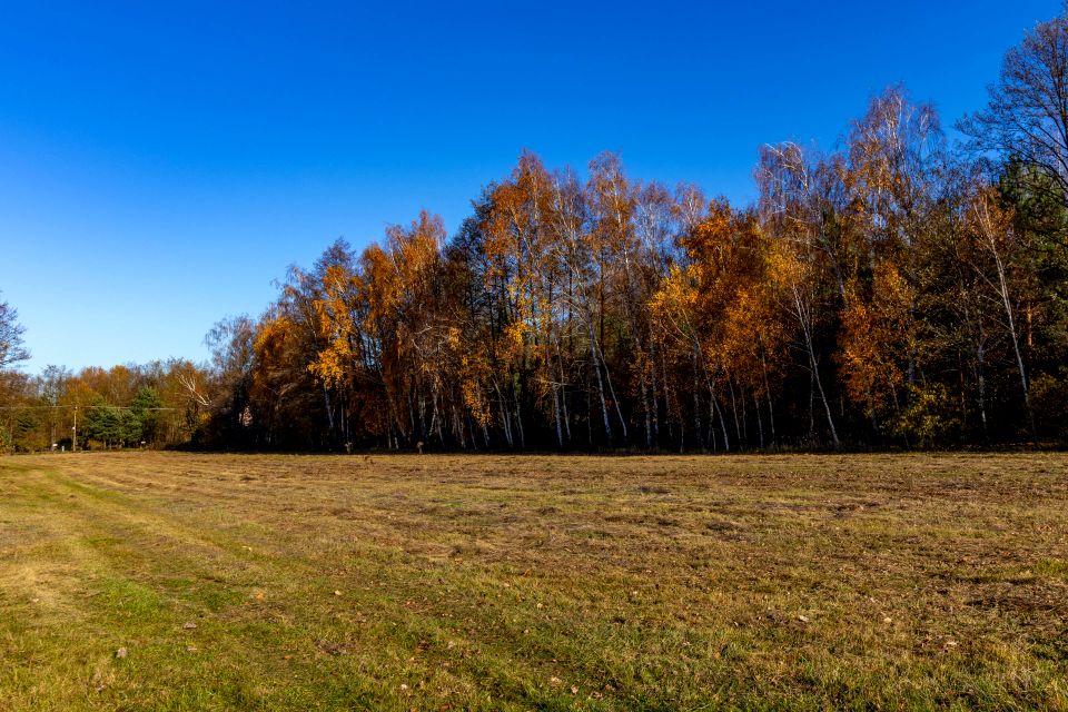 Działka Stare Krasnodęby