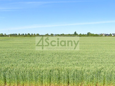 Działka budowlana Konstantów