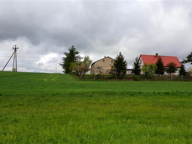 Działka inna Połęczyno