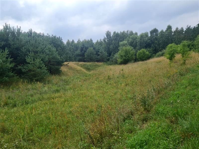 Działka rolna Tereszewo