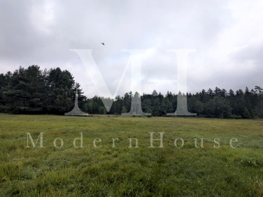 Działka inna Płaska