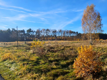 Działka rolna Ołobok