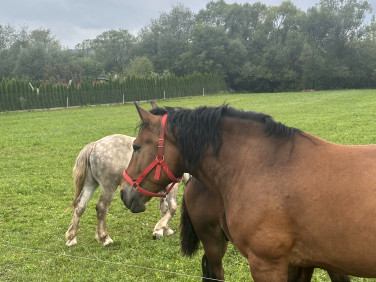 Pusta działka Popowice