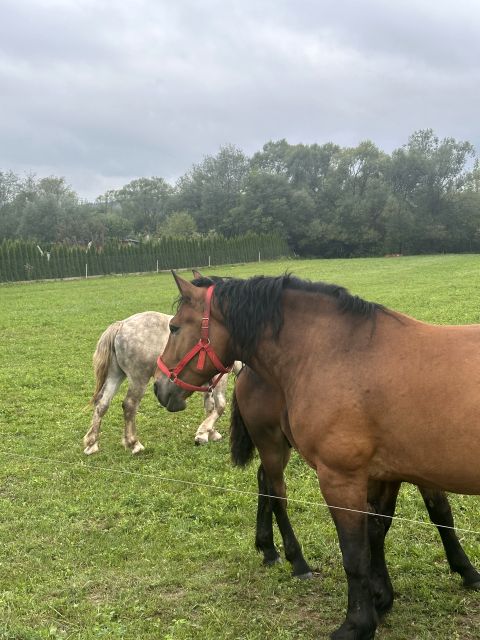 Pusta działka Popowice