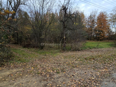 Działka rolna Cicibór Duży