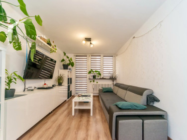 Mieszkanie Bielsko-Biała sprzedaż