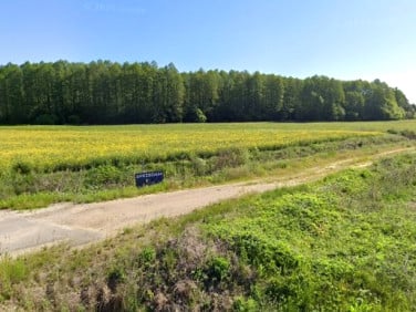 Działka siedliskowa Zabłudów