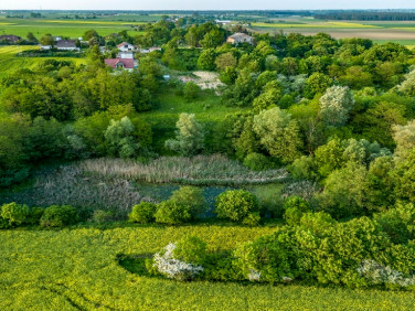 Działka budowlana Brzezinko