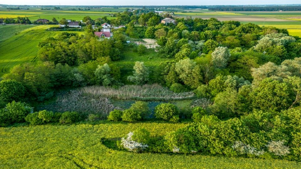 Działka budowlana Brzezinko