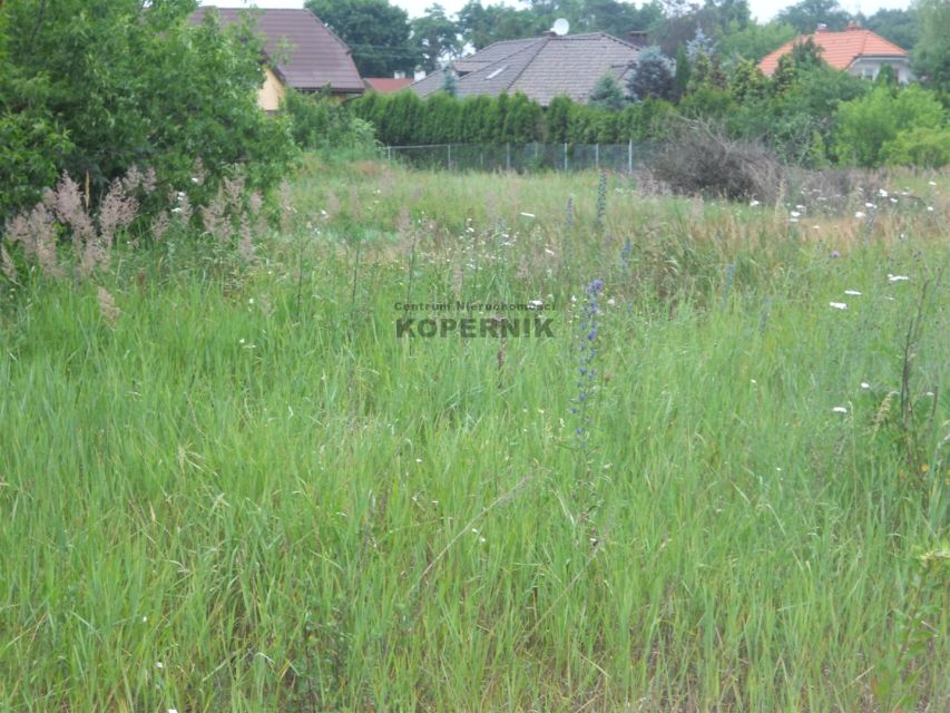 Działka budowlana Głogowo