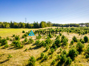 Działka rolna Skorzewo