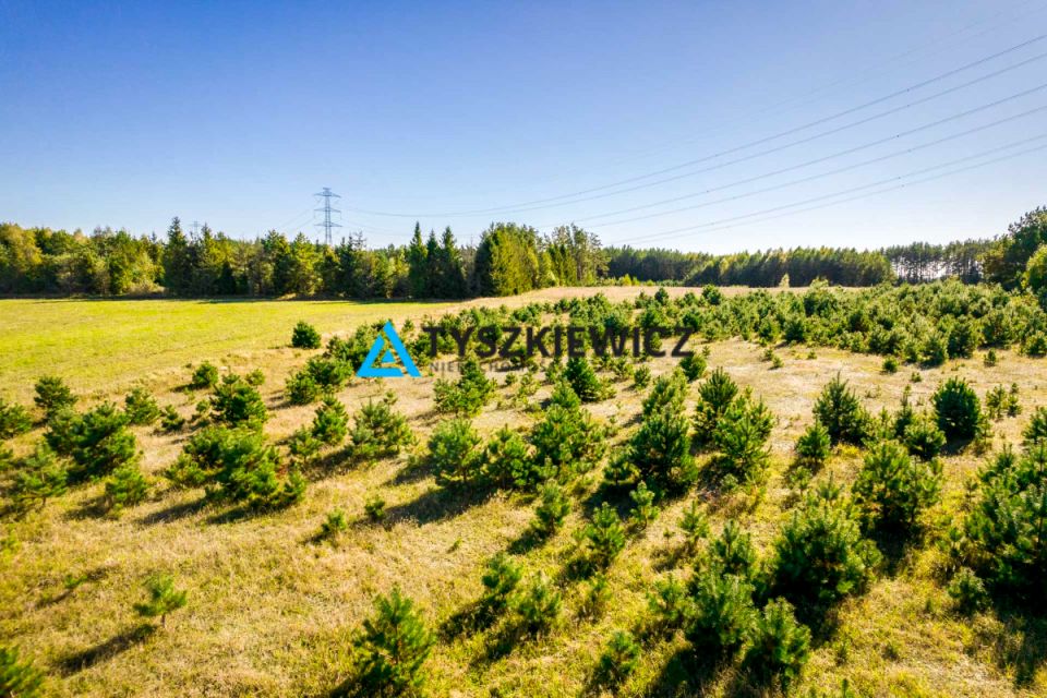 Działka rolna Skorzewo